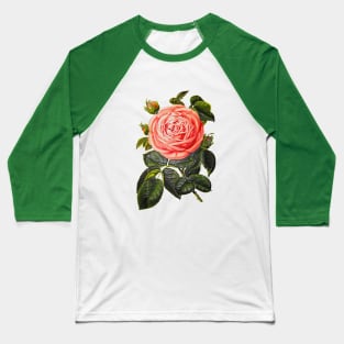 rosebud with green leaves Baseball T-Shirt